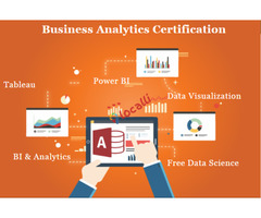 Apple Business Analytics Training Course in Delhi, 110019, 100% Job, SLA Consultants India,